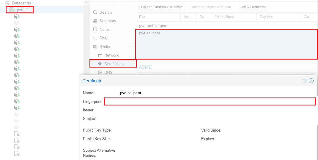 Check Proxmox VE fingerprint